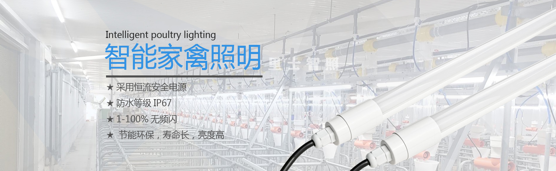 家禽养殖养猪防水灯系列